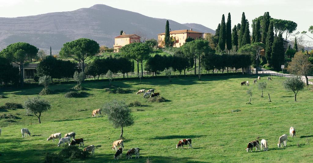 Poggiovalle Tenuta Italiana Belvedere  Ngoại thất bức ảnh